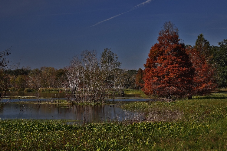 Brazos Bend State Park